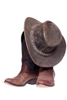 Book cover for Website Password Organizer a Cowboy Hat and a Pair of Boots