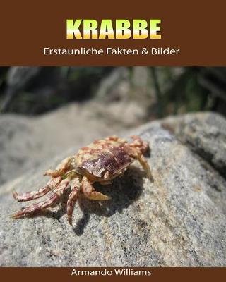 Book cover for Krabbe