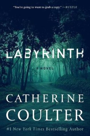 Cover of Labyrinth