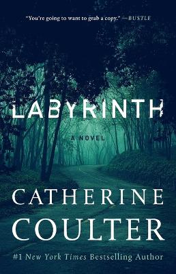 Book cover for Labyrinth