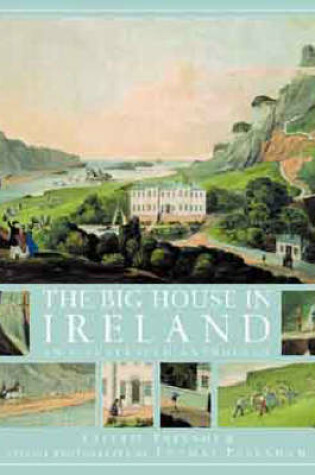 Cover of The Big House in Ireland