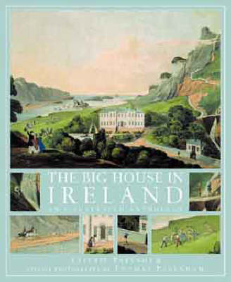 Book cover for The Big House in Ireland