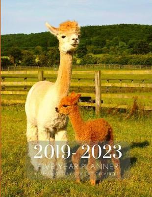 Book cover for 2019-2023 Five Year Planner Llama Goals Monthly Schedule Organizer