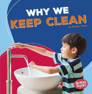 Book cover for Why We Keep Clean