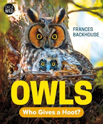 Book cover for Owls