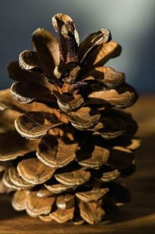 Cover of A Single Pinecone Portrait Journal