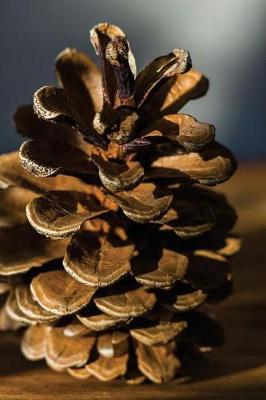 Book cover for A Single Pinecone Portrait Journal