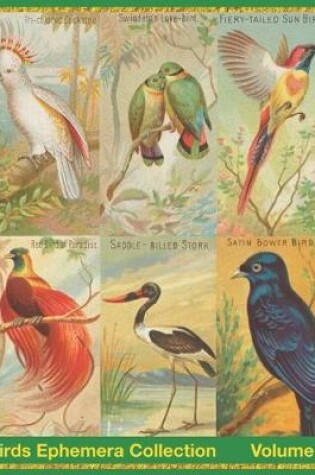 Cover of Birds