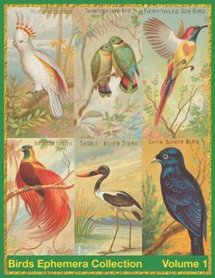 Cover of Birds