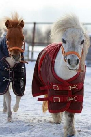 Cover of Miniature Horses in Warm Blankets Winter Journal