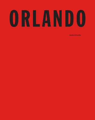 Book cover for Orlando