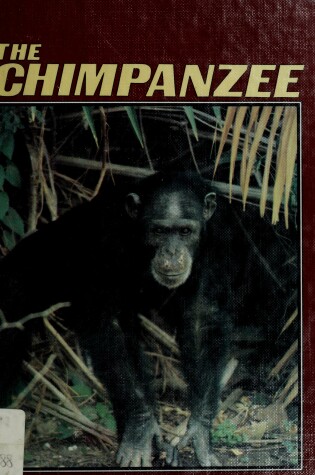 Cover of Chimpanzee