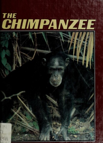 Book cover for Chimpanzee