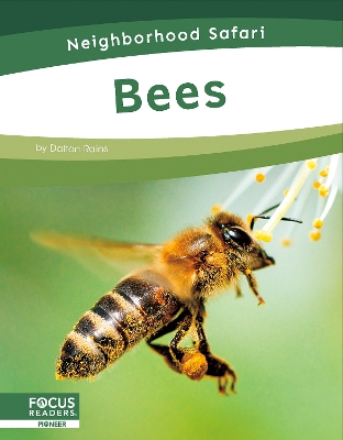 Book cover for Neighborhood Safari: Bees