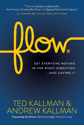 Book cover for Flow