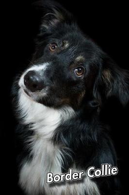 Book cover for Border Collie