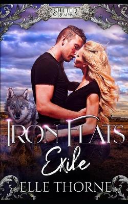 Book cover for Iron Flats Exile