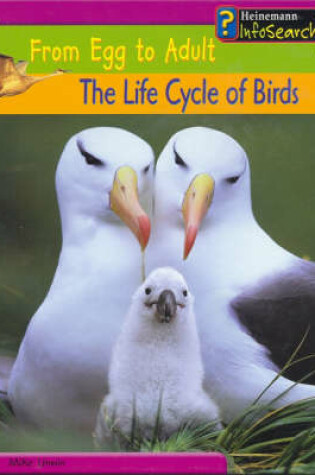 Cover of From Egg to Adult: The Life Cycle of Birds