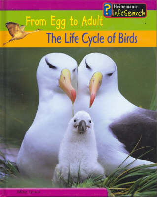 Book cover for From Egg to Adult: The Life Cycle of Birds