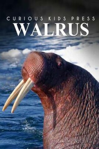 Cover of Walrus - Curious Kids Press