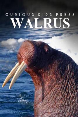 Book cover for Walrus - Curious Kids Press