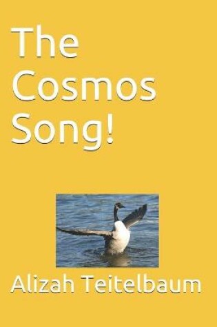 Cover of The Cosmos Song!