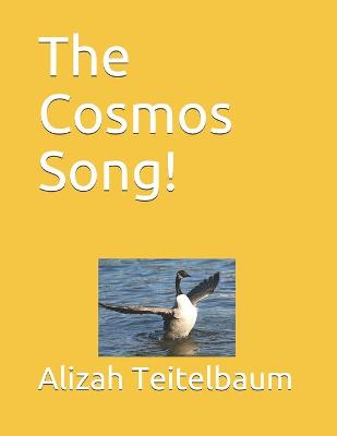 Cover of The Cosmos Song!