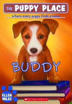 Book cover for Buddy