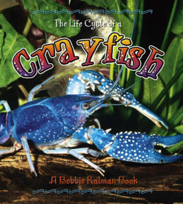 Book cover for The Life Cycle of a Crayfish