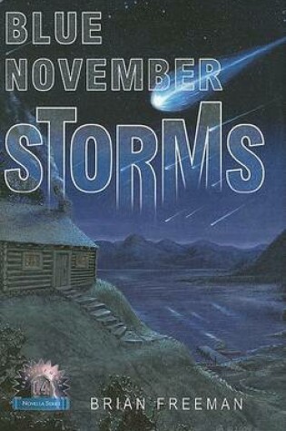 Cover of Blue November Storms