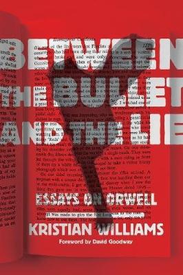 Book cover for Between The Bullet And The Lie