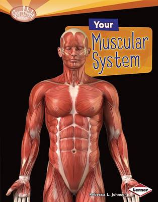 Book cover for Your Muscular System