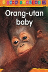 Book cover for Orang-utan Baby