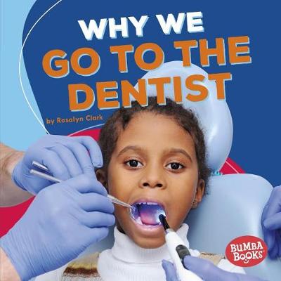 Book cover for Why We Go To The Dentist