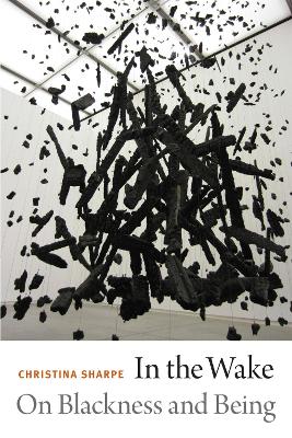 Book cover for In the Wake