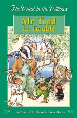 Book cover for Mr Toad in Trouble