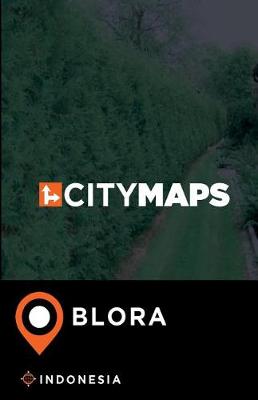 Book cover for City Maps Blora Indonesia