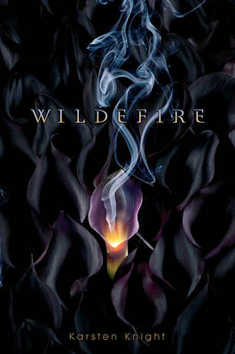 Book cover for Wildefire