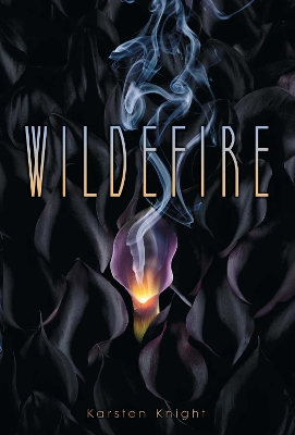 Book cover for Wildefire