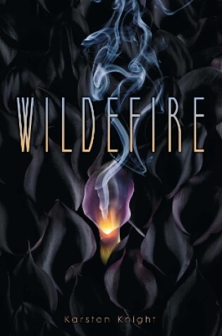 Cover of Wildefire