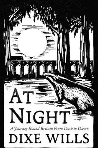 Cover of At Night