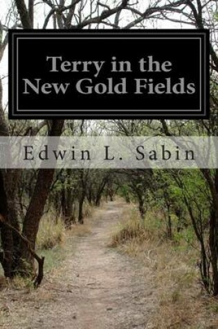 Cover of Terry in the New Gold Fields