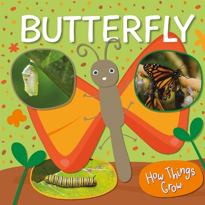 Book cover for Butterfly