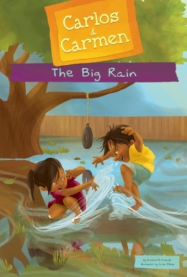 Book cover for The Big Rain