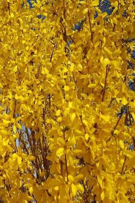 Cover of 2019 Daily Planner Forsythia Bush Up Close 384 Pages