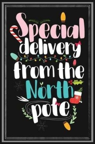 Cover of Special delivery from North Pole