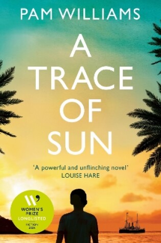 Cover of A Trace of Sun