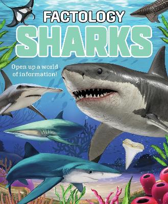 Cover of Sharks