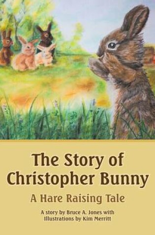 Cover of The Story of Christopher Bunny