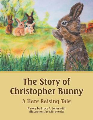 Book cover for The Story of Christopher Bunny